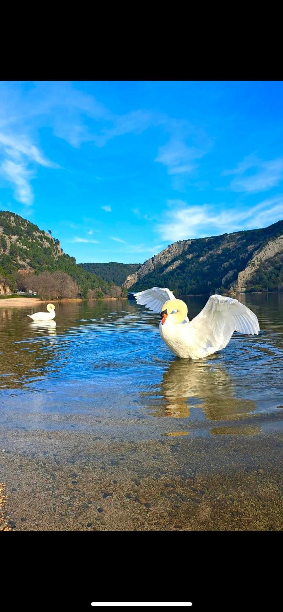 Casa Erceg Amor Vincit Omnia Skradin Bagian luar foto