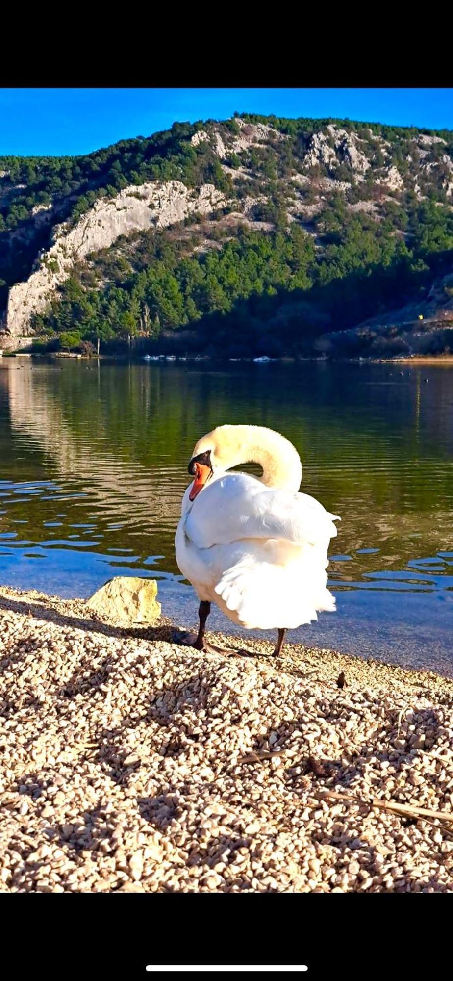 Casa Erceg Amor Vincit Omnia Skradin Bagian luar foto